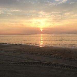 Meet your Posher, Fran